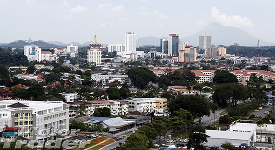 scascasc Rims & Tires > Rims